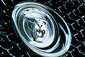 Awesome Product Image